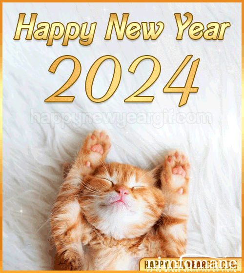 Happy New Year 2024 Funny Cat Gif Animated .6394766cb209564cd10bb760bc38338f 