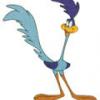 road runner