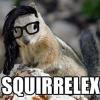 squirellex