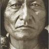 sittingbull